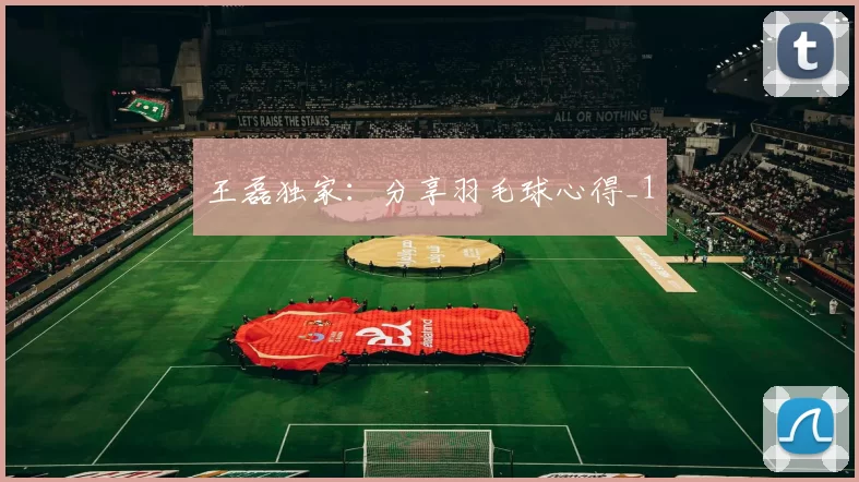 王磊独家：分享羽毛球心得_1