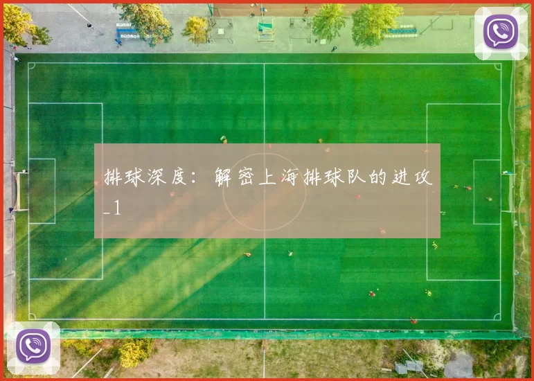 排球深度：解密上海排球队的进攻_1
