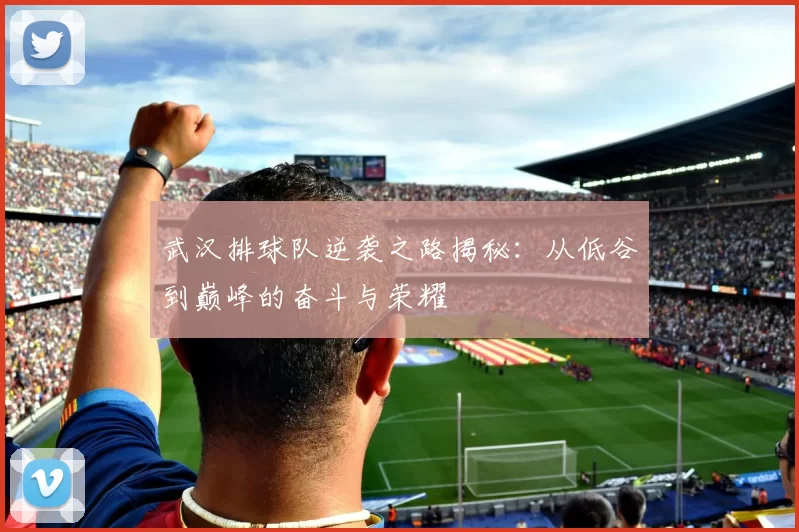 武汉排球队逆袭之路揭秘：从低谷到巅峰的奋斗与荣耀