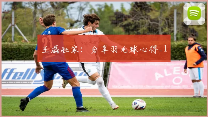 王磊独家：分享羽毛球心得_1