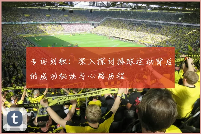 专访刘敏：深入探讨排球运动背后的成功秘诀与心路历程