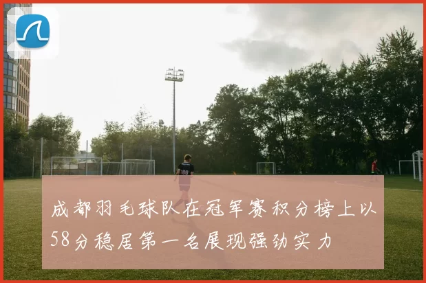 成都羽毛球队在冠军赛积分榜上以58分稳居第一名展现强劲实力